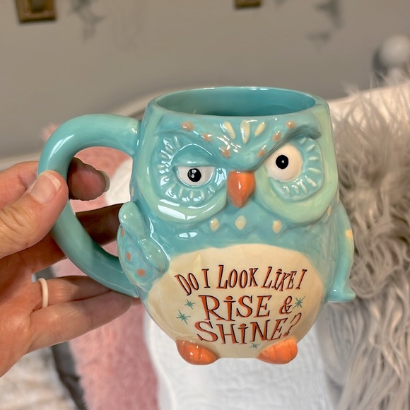 Cracker Barrel Stoneware Coffee Cup Owl Rise Shine Mug - Picture 3 of 10